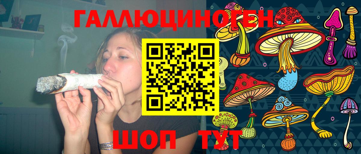 Псилоцибиновые грибы мицелий Губкинский